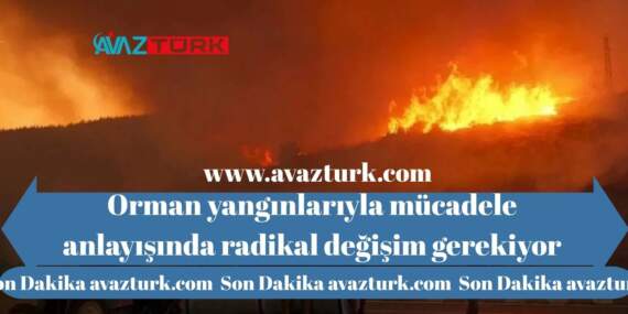 Ege Yanarken Ortaya Çıkan Büyük Skandal: Milyon Dolarlık Transferin Sır Perdesi Aralandı!