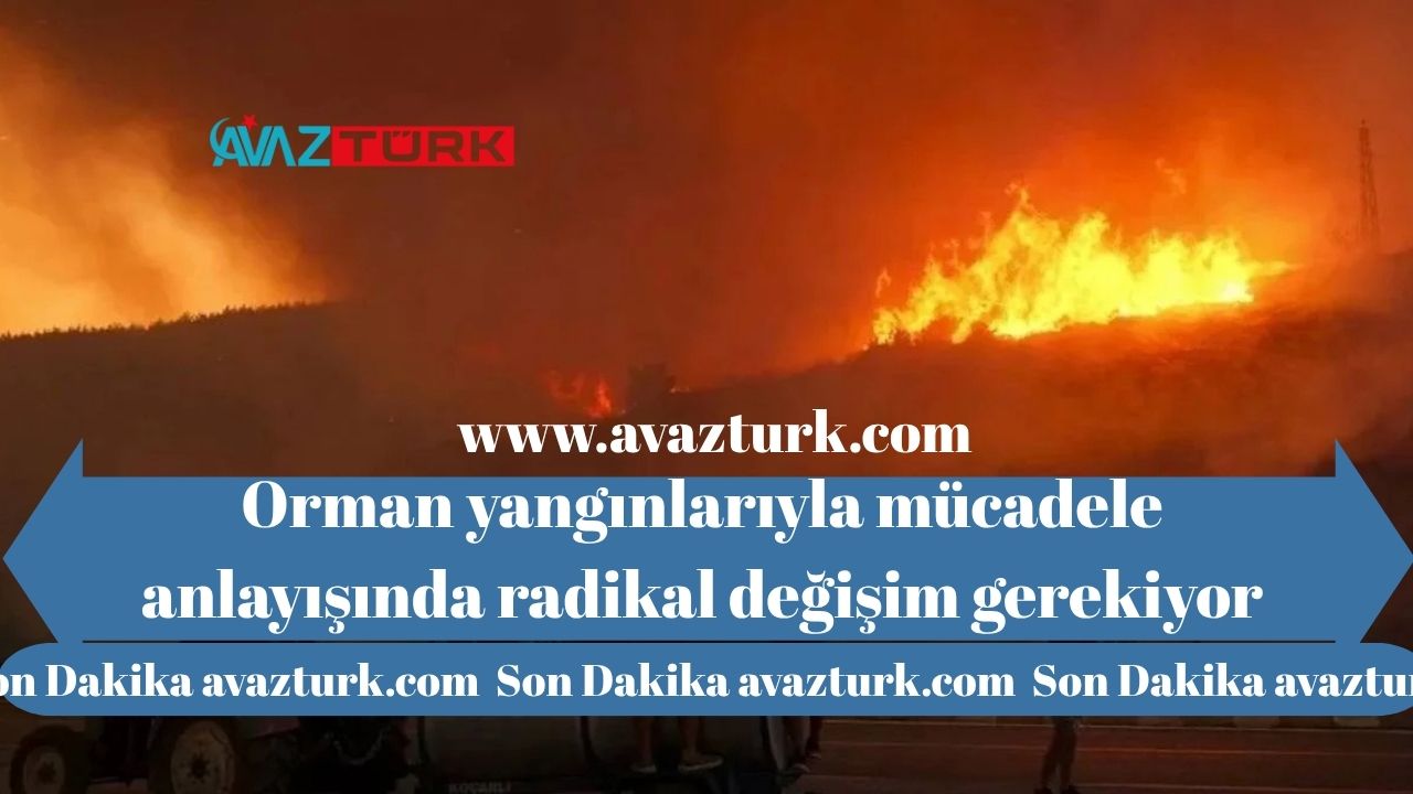 Ege Yanarken Ortaya Çıkan Büyük Skandal: Milyon Dolarlık Transferin Sır Perdesi Aralandı!