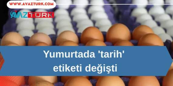Yumurtada Artık Hiçbir Şey Eskisi Gibi Olmayacak!