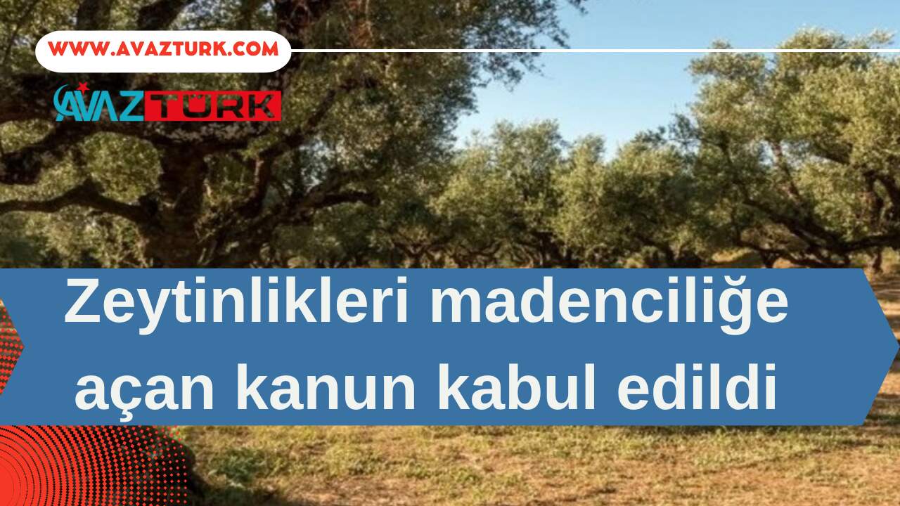 Zeytinliklerin Geleceği TBMM’de Kilitlendi