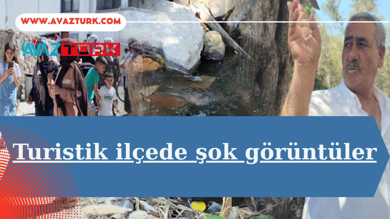 Türkiye’nin Gözde Tatil Cenneti Bodrum’da Şok Eden Sağlık Alarmı!