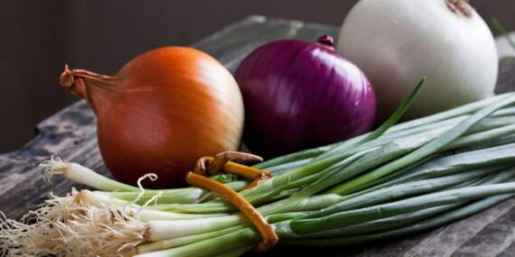 ABD’deki Marketlerde Listeria Alarmı: Soğanlar ve Sebzeler Acilen Toplatılıyor!