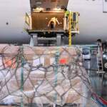 ABD’den Geldi! Altın Kadar Değerli… Türkiye’nin Gözbebeği 65 Yıl Sonra Evinde