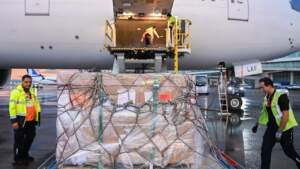 ABD’den Geldi! Altın Kadar Değerli… Türkiye’nin Gözbebeği 65 Yıl Sonra Evinde