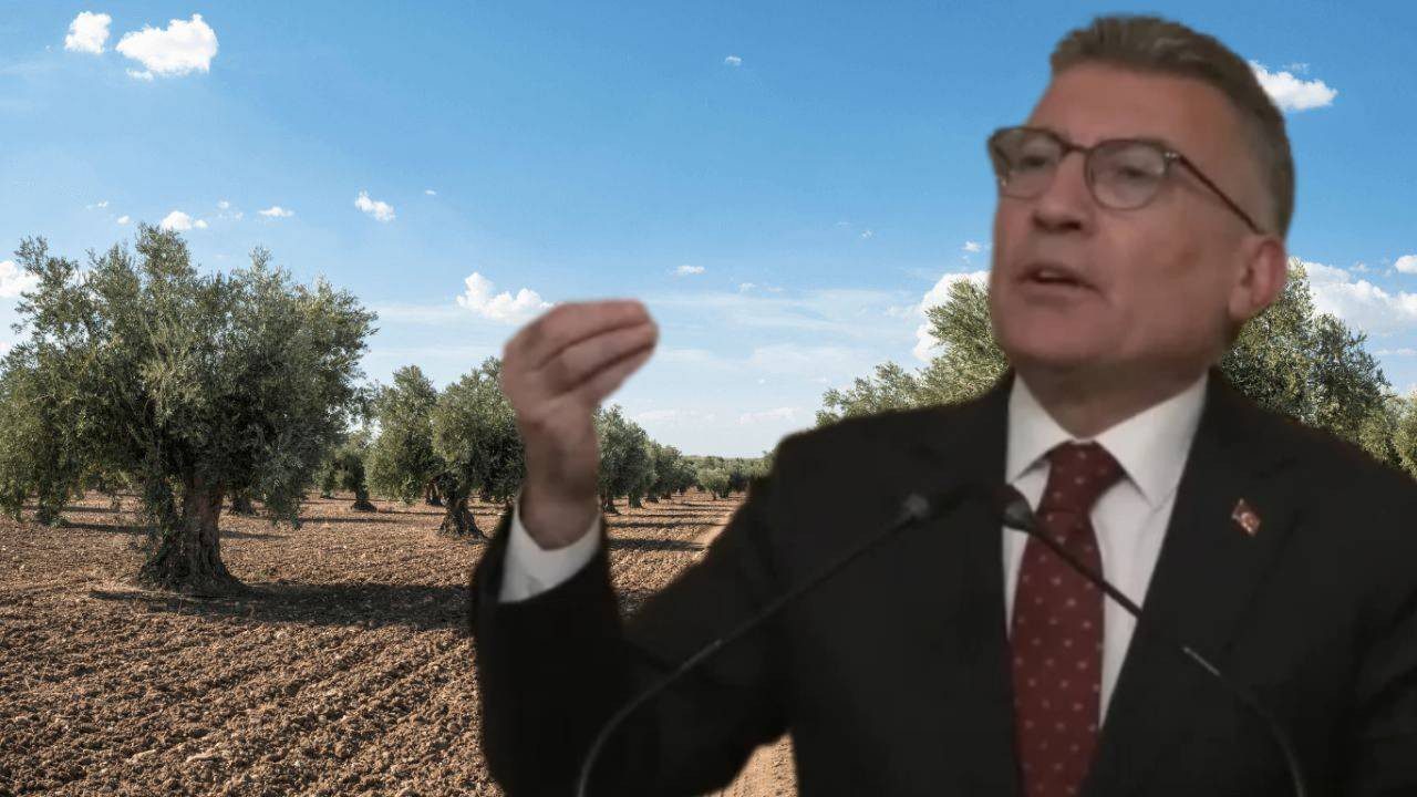 Abdullah Güler’i Çileden Çıkaran Soru! Gazeteciye Sert Çıkıştı: ‘Şu AK Parti’ye Bir Teşekkür Edin Ya!’