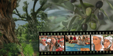 Ağaçların Nefesini Kesen Yasaya Karşı Mücadele Sürüyor: ‘Biz Bitti Demeden Bitmez’