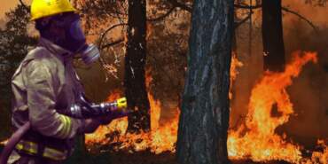 Alevlere Karşı Mücadelede Kaynak Krizi: Yangılar Arttı, OGM’nin Bütçe Payı Azaldı