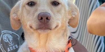 Alevlerin Arasından Gülümsemişti: Yeniden Yuva Aranıyor