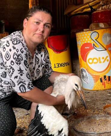 Anne Şevkatiyle Yaralı Leyleğe Sahip Çıktı