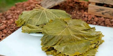 Avrupa’da ‘Üzüm Yaprağı’ Alarmı! Türkiye’den Gelen Ürünler Toplatılıyor