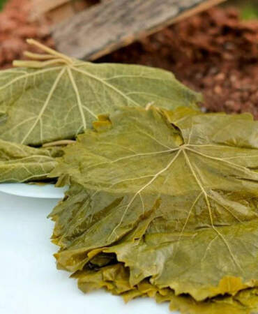Avrupa’da ‘Üzüm Yaprağı’ Alarmı! Türkiye’den Gelen Ürünler Toplatılıyor
