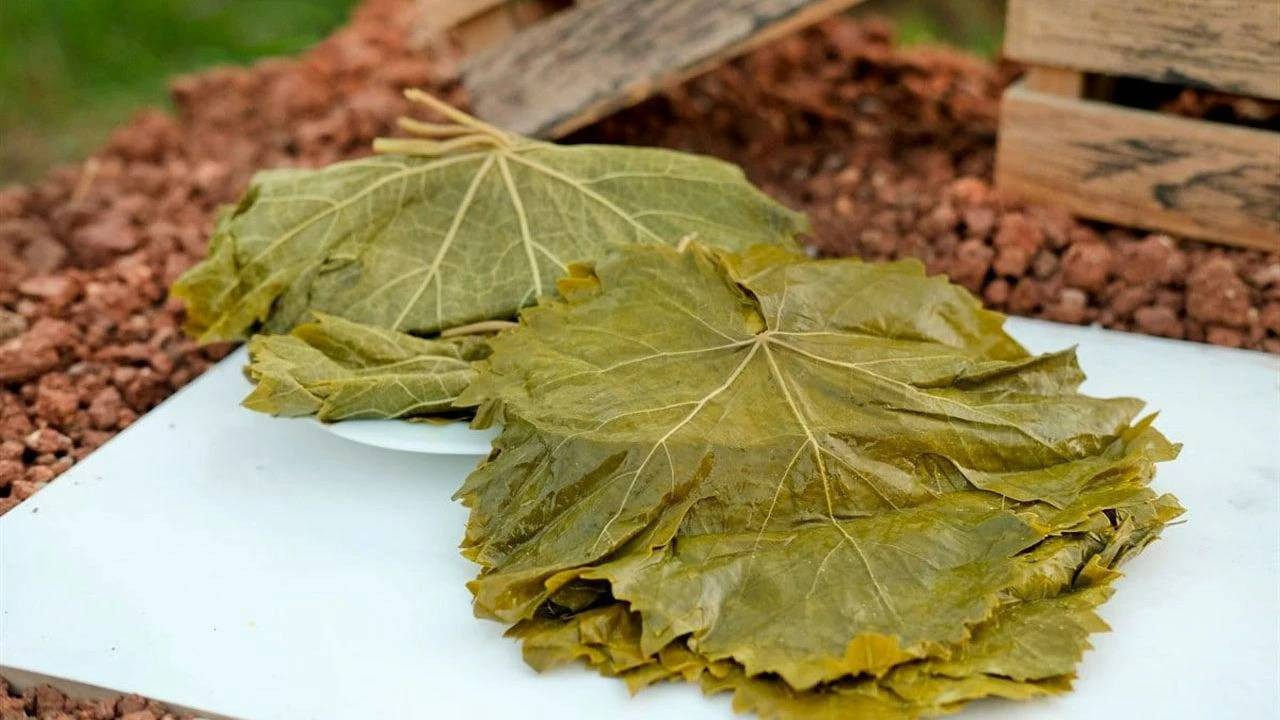 Avrupa’da ‘Üzüm Yaprağı’ Alarmı! Türkiye’den Gelen Ürünler Toplatılıyor