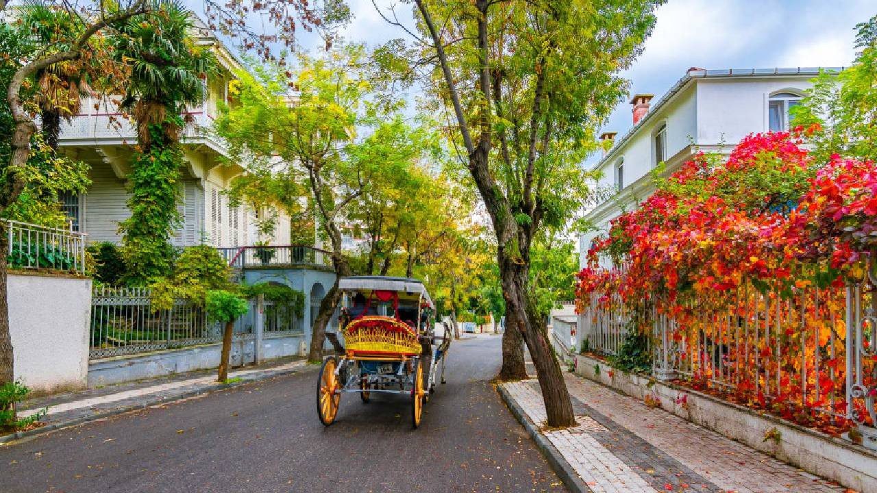 Bakanlık Duyurdu: O Adalara Girişlerde Artık Para Alınacak! Düzenleme Sessizce Yürürlüğe Girdi