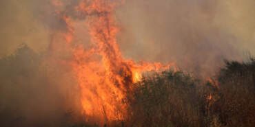 Başkentte Orman Yangını Alarmı! Yasaklar Genişletildi