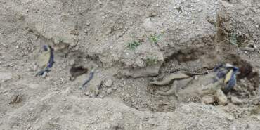 Battaniyeye Sarılı Cesedin Sırrı Çözüldü! İstanbul’da Öldürüp Nevşehir’de Gömdüler… Korkunç Cinayetin Perde Arkası…