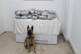 Bingöl’de 49 Kilo Esrar Bulundu