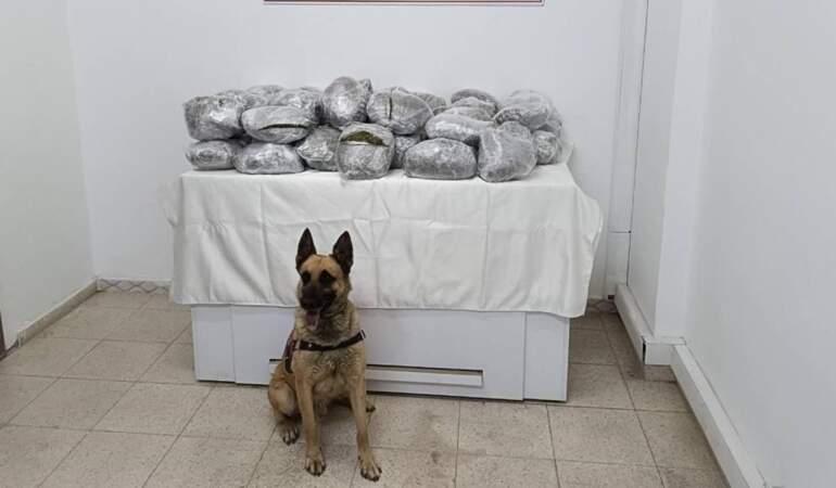 Bingöl’de 49 Kilo Esrar Bulundu