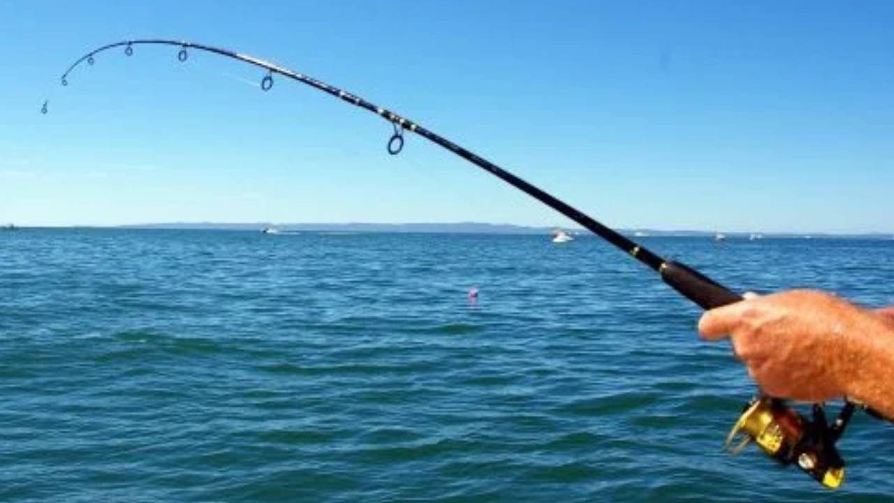 Boş Dönmek İstemeyen Balıkçılar Dikkat! Balıklar En Çok O Saatte Yüzeye Çıkıyor: Av İçin Altın Zamanlar