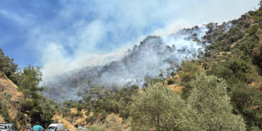 Bu Kez Aydın Yanıyor! Ekipler Müdahale Ediyor