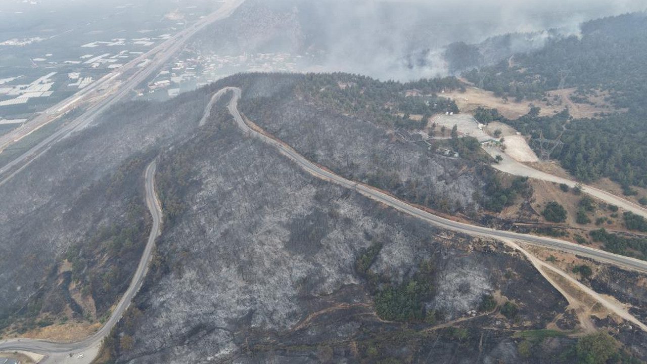 Yeşil Bursa Artık Kömür Karası… Acı Tablo Gün Ağarınca Ortaya Çıktı