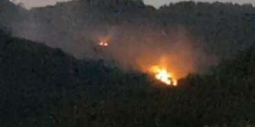 Edremit’te Zeytinlik Yangını