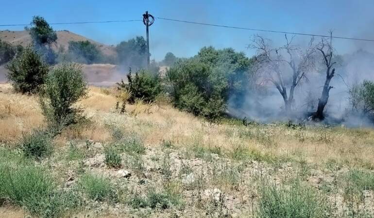 Elazığ’da Otluk ve Ağaçlık Alanda Yangın: Ekipler Seferber Oldu
