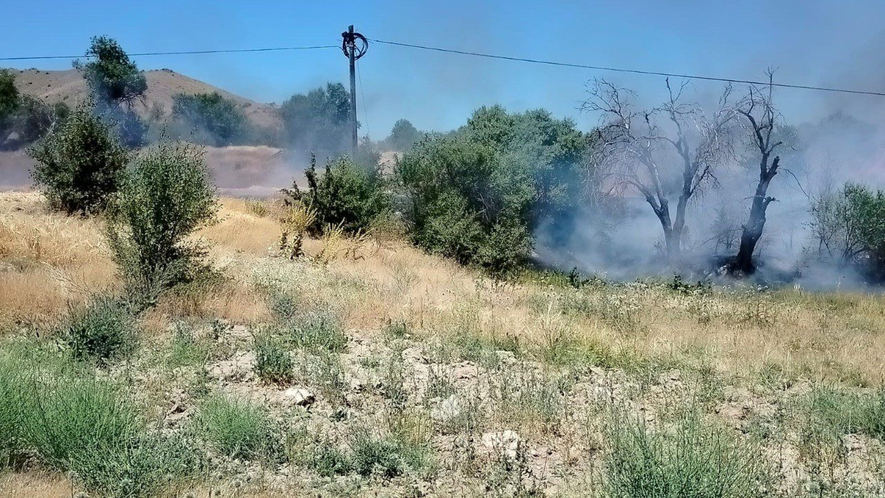 Elazığ’da Otluk ve Ağaçlık Alanda Yangın: Ekipler Seferber Oldu