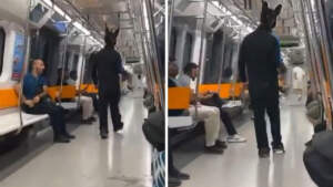 Film Gibi Olay! Tüfekli Tavşan Metroda Panik Yarattı: Ekipler Harekete Geçti