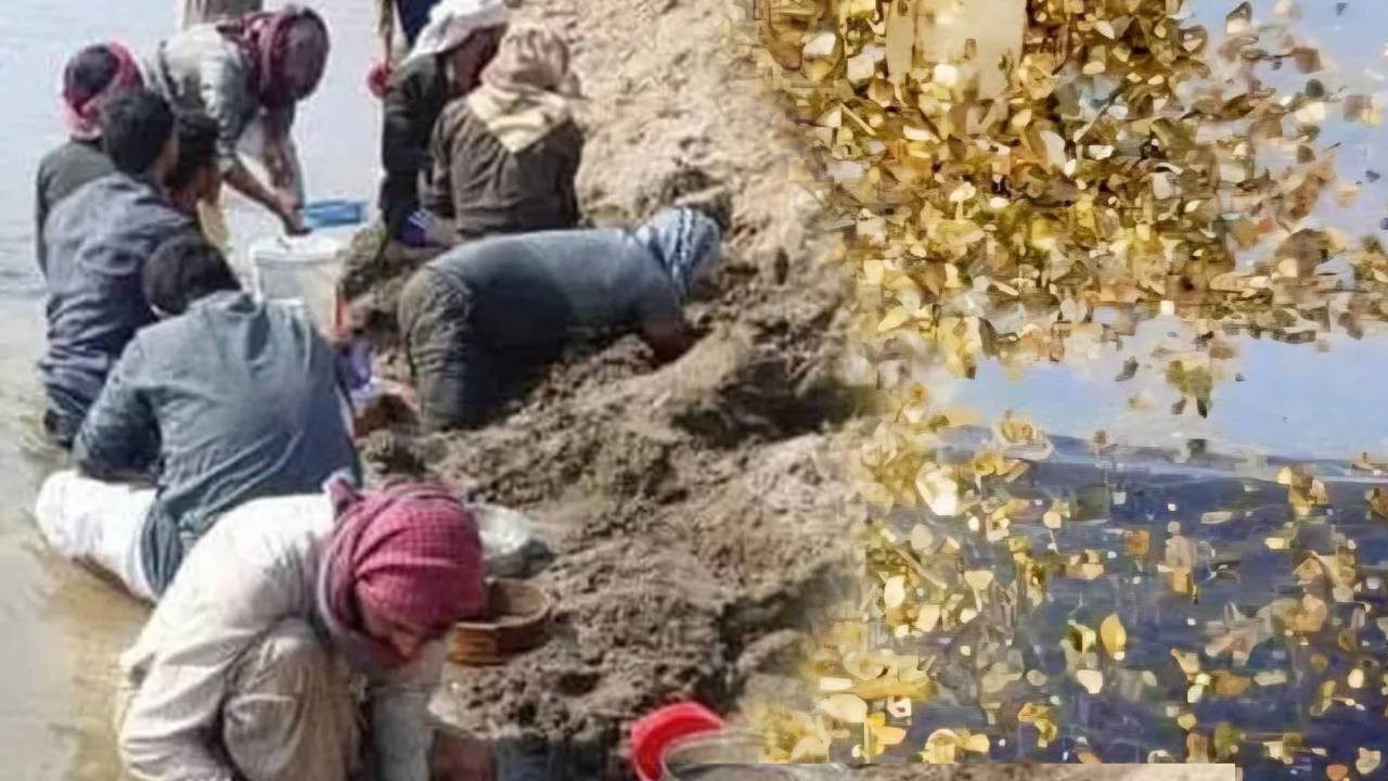 Köyde Altın Heyecanı: Su Seviyesi Düşünce Ortaya Çıktı! Herkes Altın Toplamaya Koştu