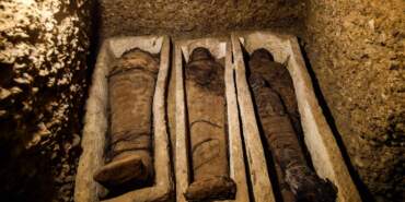 Firavun Mezarlarında Şoke Eden Keşif: Tarihin Laneti Kansere İlaç Oluyor