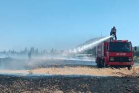 Gaziantep’te Anız Yangını Kontrol Altında