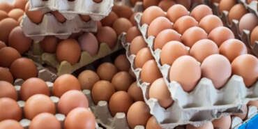 FETÖ Soruşturmasında Yeni Adres! HAKMAR ve BAKTAT’tan Sonra Ünlü Yumurta Devine de Kayyım Atandı