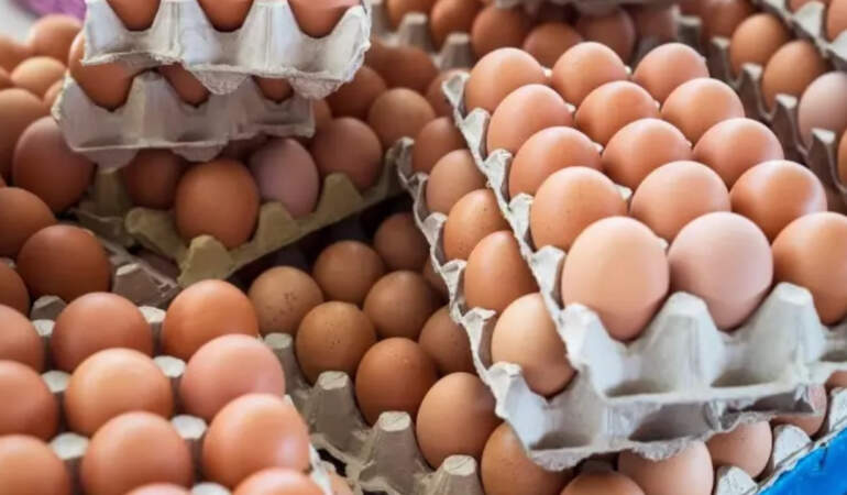 FETÖ Soruşturmasında Yeni Adres! HAKMAR ve BAKTAT’tan Sonra Ünlü Yumurta Devine de Kayyım Atandı