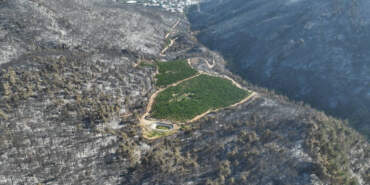 Her Yer Küle Döndü, Sadece O Tarla Alevlerden Etkilenmedi: Yanmayan Tarlanın Gizemi Ortaya Çıktı