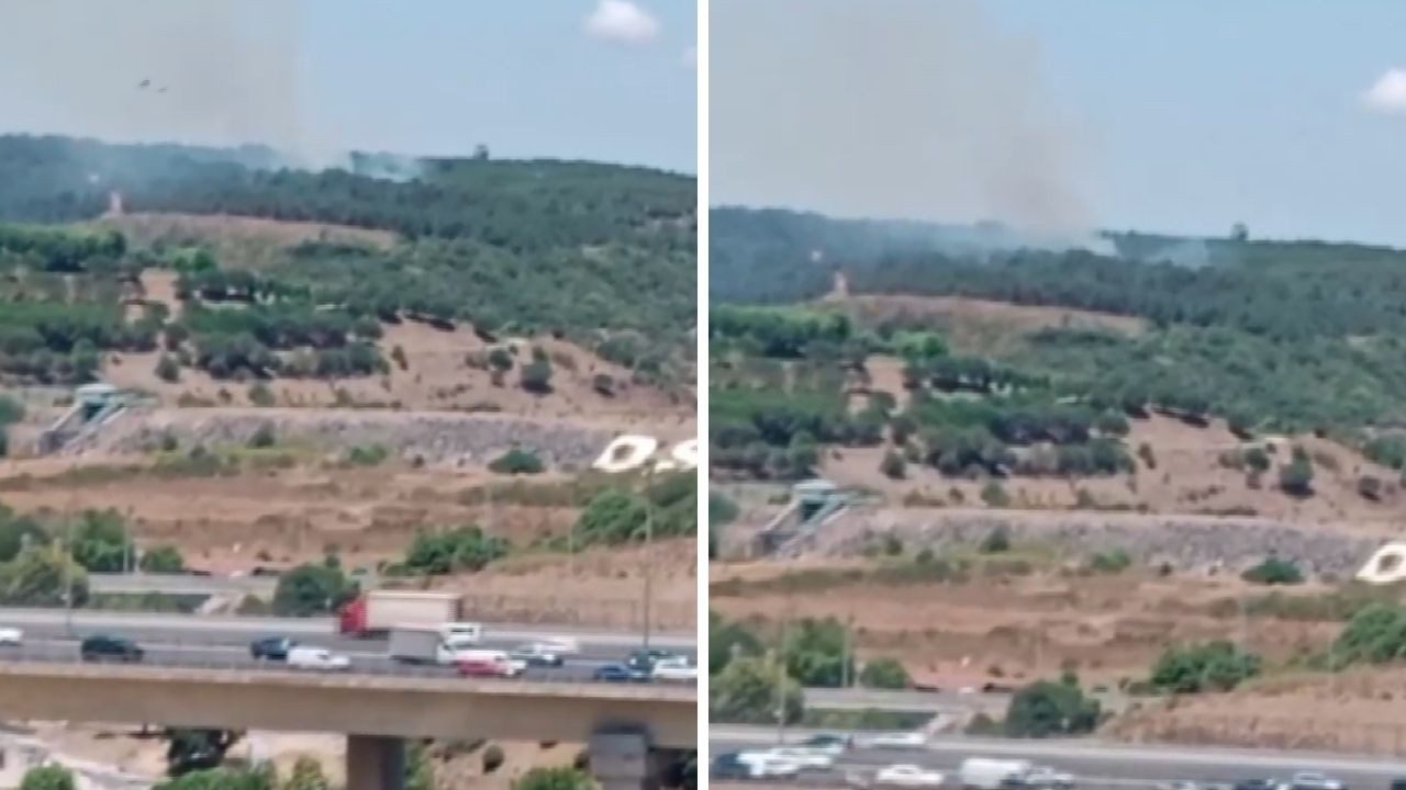 Sultangazi Kent Ormanı’nda Yangın