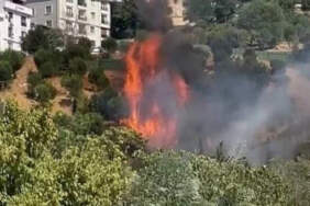 Kağıthane’de Ağaçlık Alanda Korkutan Yangın