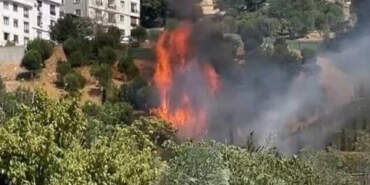 Kağıthane’de Ağaçlık Alanda Korkutan Yangın