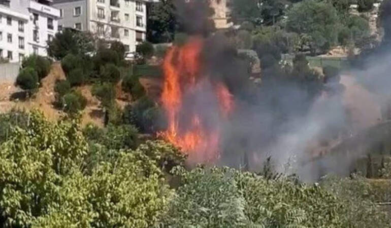 Kağıthane’de Ağaçlık Alanda Korkutan Yangın