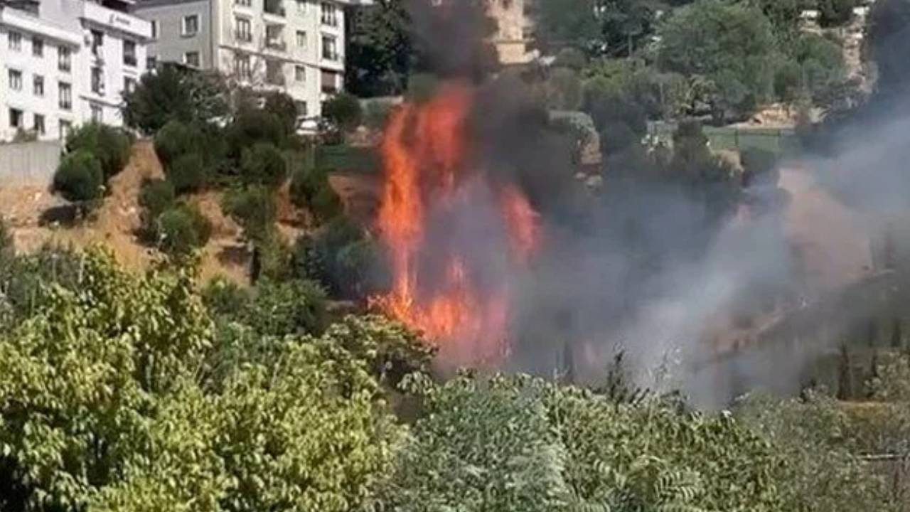 Kağıthane’de Ağaçlık Alanda Korkutan Yangın