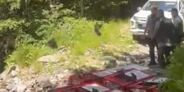 ‘Kanatlı Tim’den Amansız Mücadele! 1400 Keklik Daha Doğaya Salındı