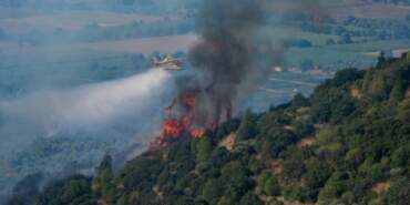 Kütahya’da Orman Yangını: Havadan ve Karadan Müdahale Ediliyor