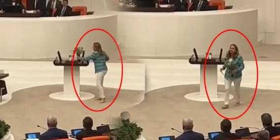 Meclis’te Daha Önce Görülmemiş Protesto… CHP’li Semra Dinçer Zeytinlikler İçin Kürsüye Böyle Çıktı!