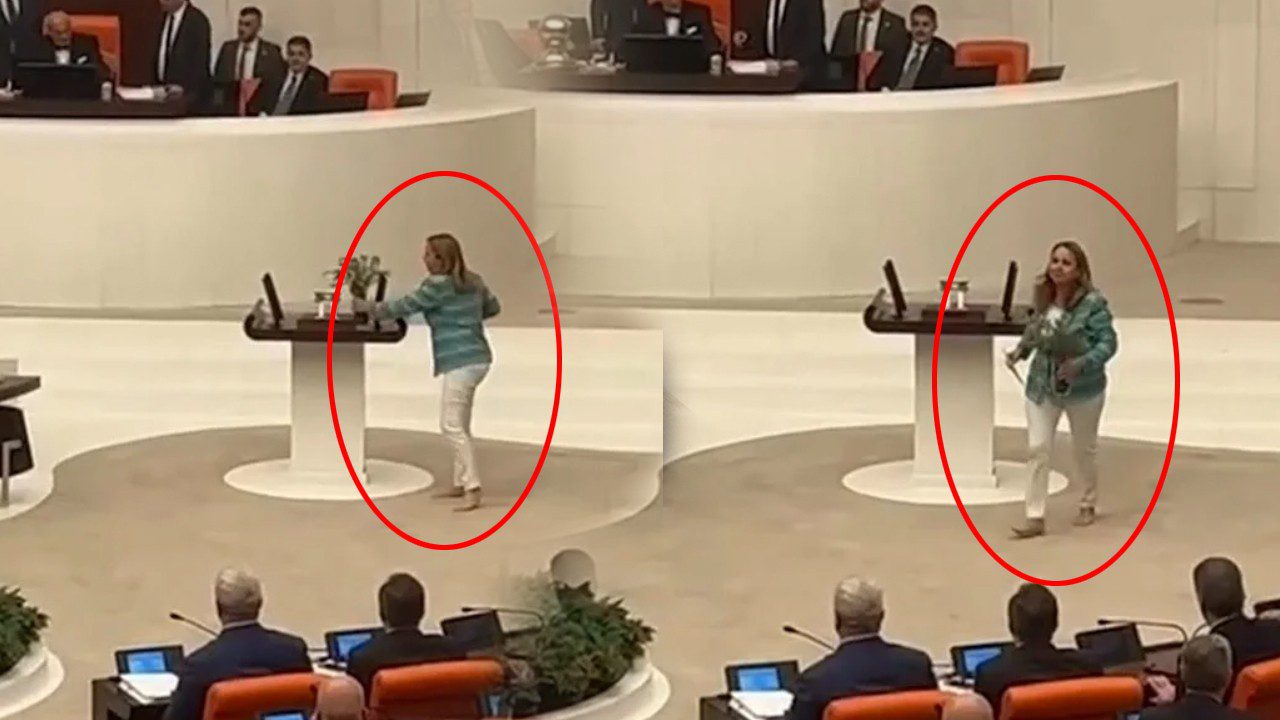Meclis’te Daha Önce Görülmemiş Protesto… CHP’li Semra Dinçer Zeytinlikler İçin Kürsüye Böyle Çıktı!