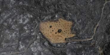 Ödemiş Yangınında Mucize! Köyler Kül Oldu, O Bahçe Sapasağlam Kaldı: Emeğimin Karşılığını Aldım