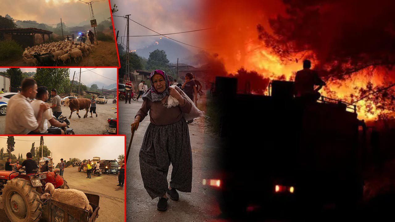 Ödemiş’te Kare Kare Çaresizlik… Hayvanlarını Önlerine Katıp Alevlerden Böyle Kaçtılar