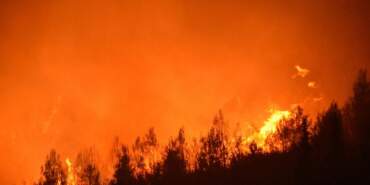 İzmir Yangın Yeri: Alevler Büyüdü, Otoban Kapatıldı