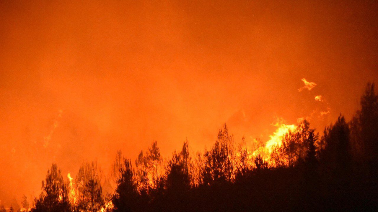 İzmir Yangın Yeri: Alevler Büyüdü, Otoban Kapatıldı