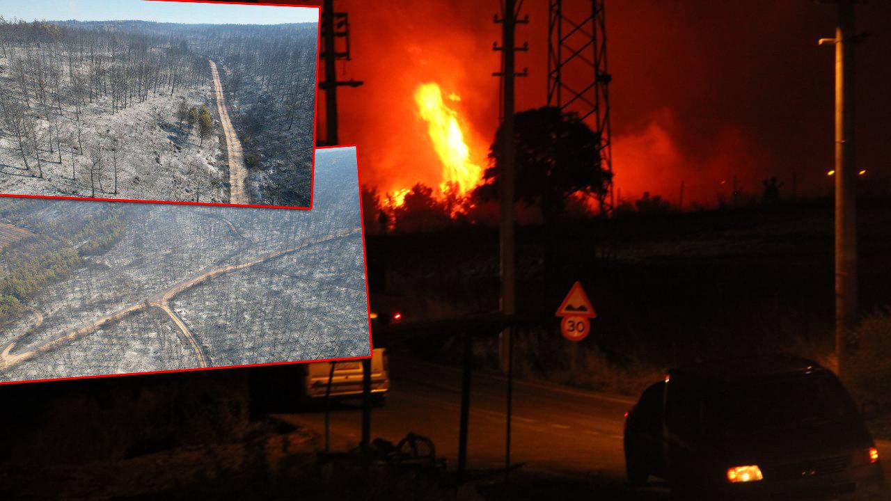 Ormanlarımız Küle Döndü! Buca’daki Felaket Havadan Görüntülendi
