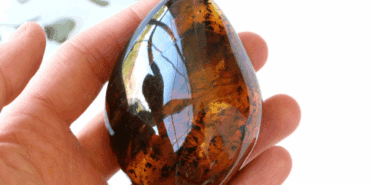 Osmanlı Zamanından Beri Çok Nadir Bulunuyor: Tanesi 1 Milyon Liraya Satılıyor! Yatırımcılar Kapış Kapış Alıyor