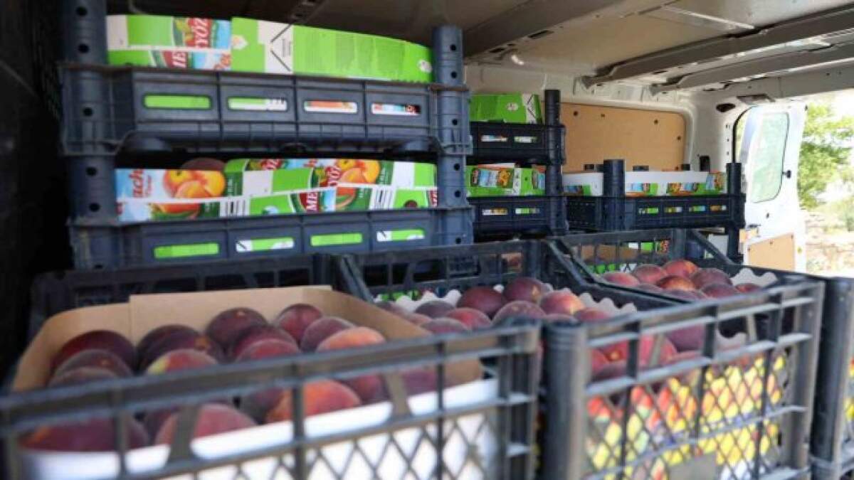 resim-2025-07-10-140319234 resim-2025-07-10-140319234.png